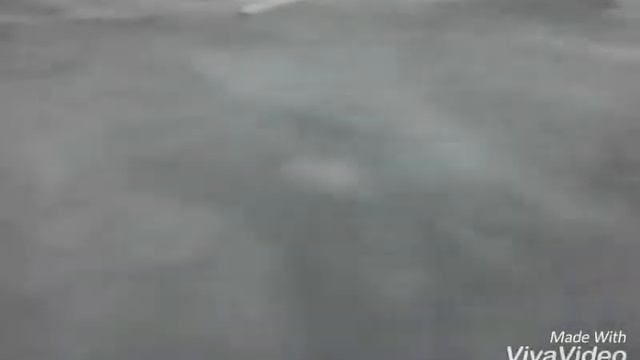 Прорыв на рыбалку на мт (Днепр 11) смотреть онлайн