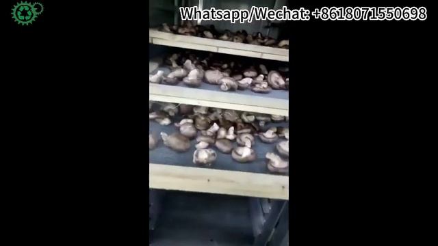 dryer machine for tremella, tofu, black fungus, mushrooms, peppers, chrysanthemum,chili，cassava，fis смотреть онлайн
