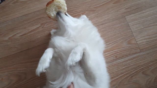 Самый вкусный хлеб смотреть онлайн