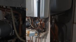 Не работает котел BERETTA CIAO J 24