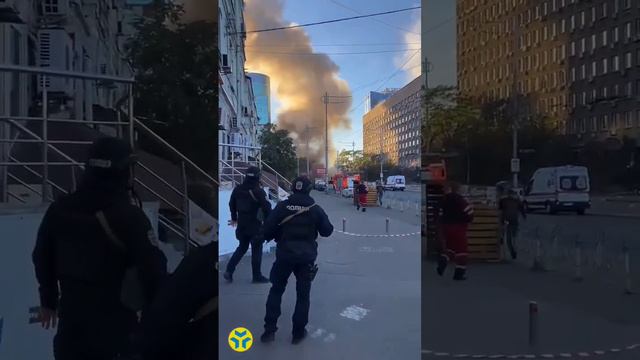 Герань цветет в Киеве🌷 смотреть онлайн