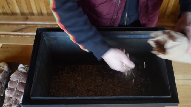 Идеальная копченая грудинка. Грудинка горячего копчения. И МЯСО И РЫБА смотреть онлайн