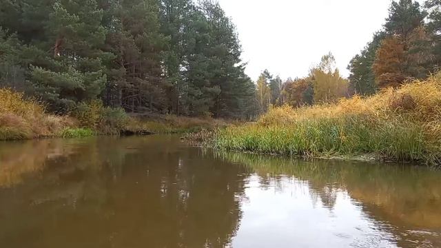 река Славечна смотреть онлайн