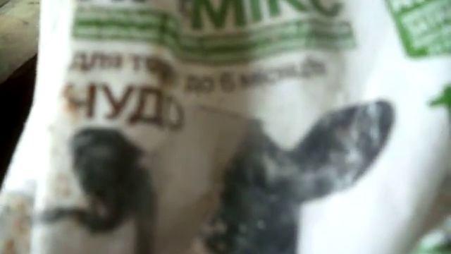 Как кормить бычков голштинской породы смотреть онлайн