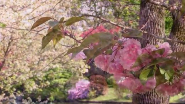 Осень прозрачное утро смотреть онлайн