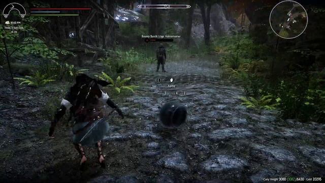 SKYRIM SE: Archery Combat