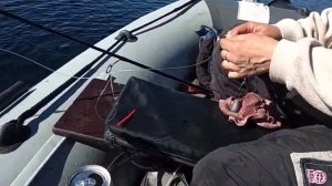 Как ловить и на что ловить треску на Белом море!