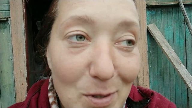 БРУСНИКА СЕГОДНЯ УЖЕ ПРИСНИЛАСЬ