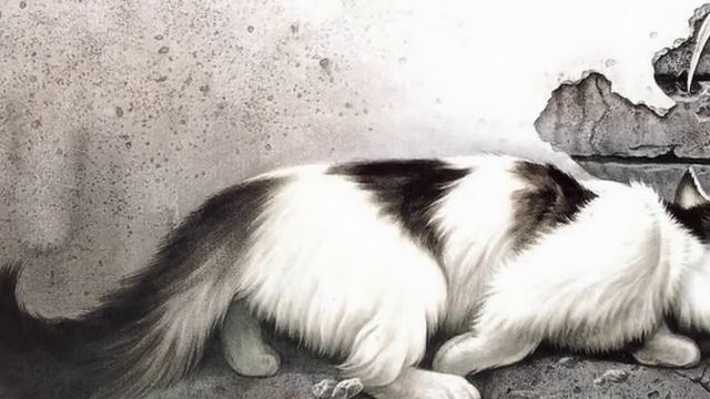 Авторский ролик ВиталияТищенко. Кошки Сюй Синьци.wmv смотреть онлайн