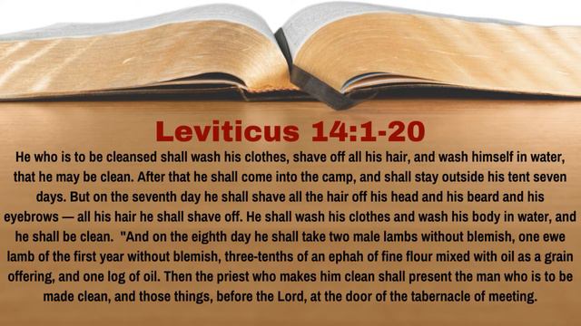 Why Did Jesus Send 10 Lepers To the Priests? [Luke 17:11-19][Lesson 86][WTTB] смотреть онлайн