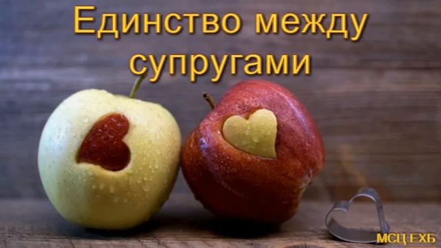 Единство между супругами Н С Антонюк МСЦ ЕХБ смотреть онлайн