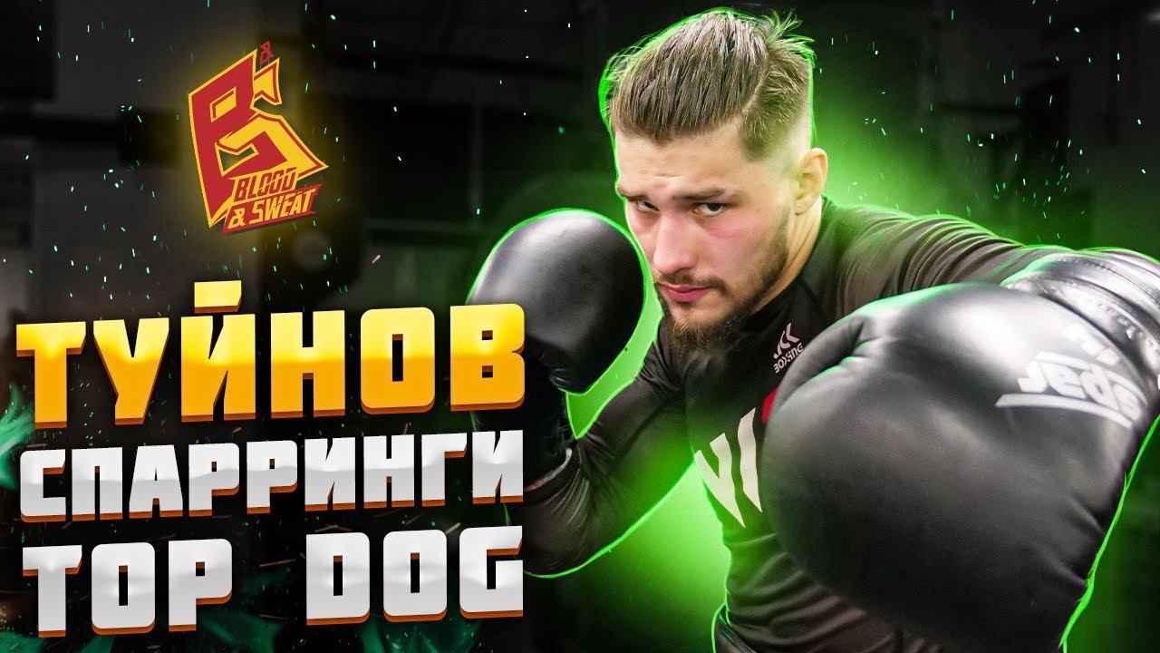 Туйнов показал класс на спаррингах в Top Dog / Влад Туйнов подготовка к бою с Павлом Шелестом смотреть онлайн