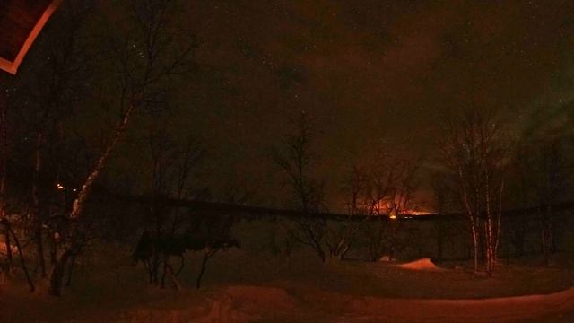 Polar Night (kaamos) beyond the Arctic circle - timelapse, 24h, 4k смотреть онлайн