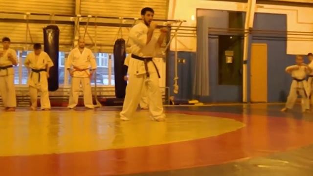 Семинар по Киокушинкай каратэ от Ильи Карпенко! смотреть онлайн