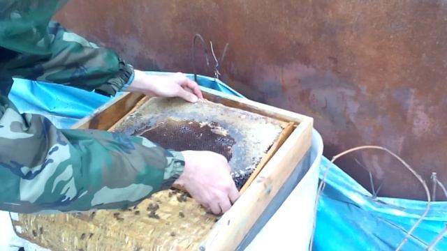 Постановка рамок с пергой 8 марта 2016. Пчёлы весной. смотреть онлайн