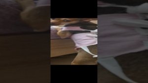 VID_20240310_091345.mp4
10марта 2023г Сонечка обиделась😟
#маленькаясобачка