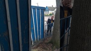 головень исполняет...