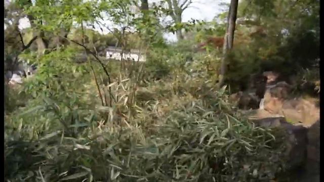 Открытая Азия в Сучжоу-Suzhou.Шопинг,еда и красивый парк.HD
