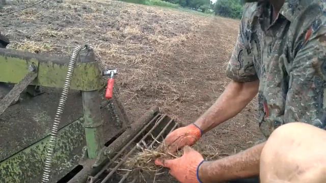 Про посев злаковых и значение коточка на фрезе смотреть онлайн
