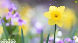 ОБАЛДЕННАЯ МУЗЫКА НА 8 МАРТА! Красивое поздравление с 8 марта! Музыка для релаксации! 8 марта