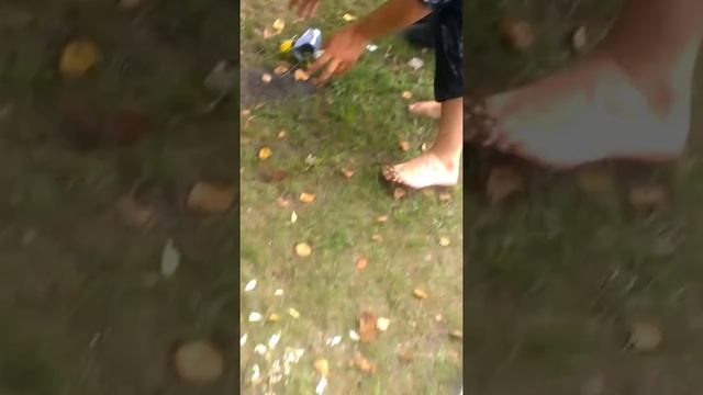 рыбалка.новосибирск -смоленка. смотреть онлайн