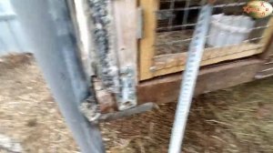 ОБЗОР КЛЕТОК/КРОЛЬЧАТНИК/СОДЕРЖАНИЕ КРОЛИКОВ НА УЛИЦЕ /Часть 1