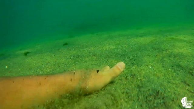 Дайвинг в Одессе на мысе Малый Фонтан. смотреть онлайн