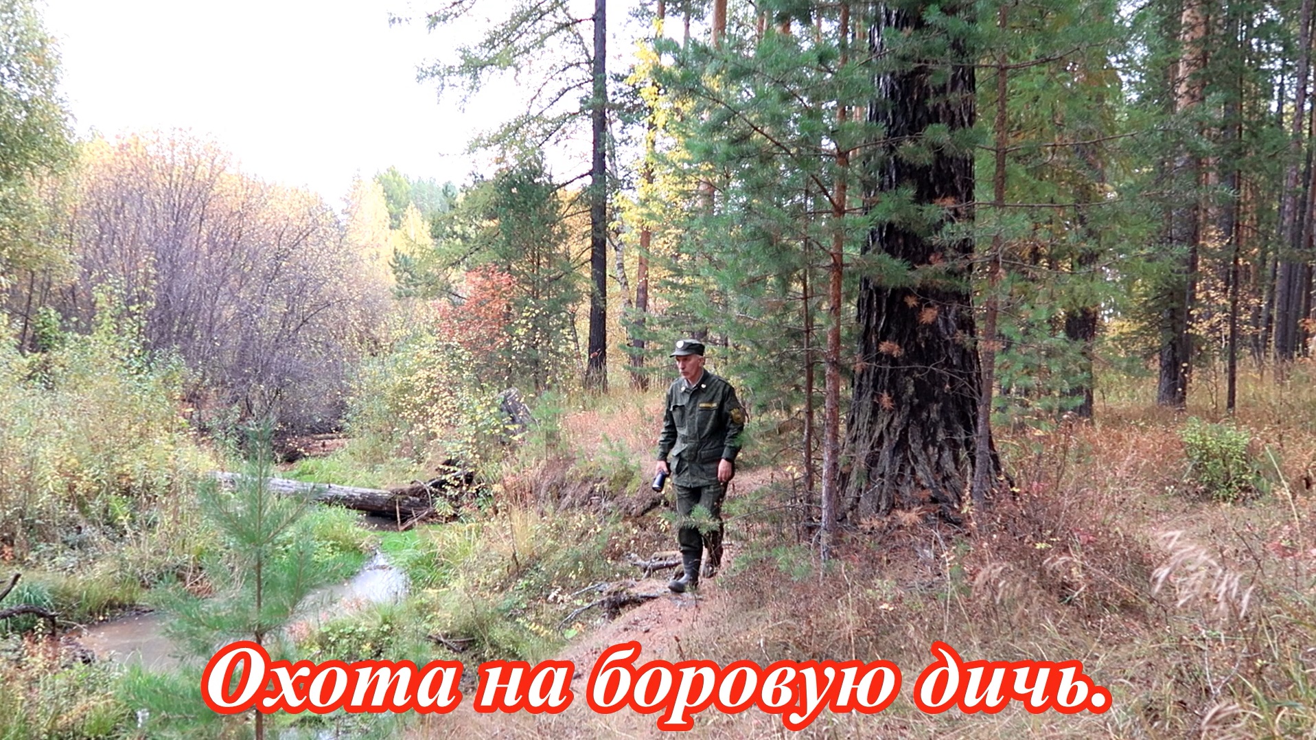 Охота на боровую. Правила охоты. смотреть онлайн