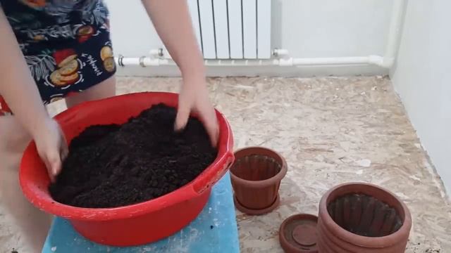 Купили карнизы, пересаживаю цветы, испытываем новый светильник смотреть онлайн