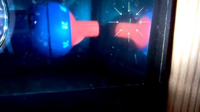 Нерест Данио 4 день смотреть онлайн