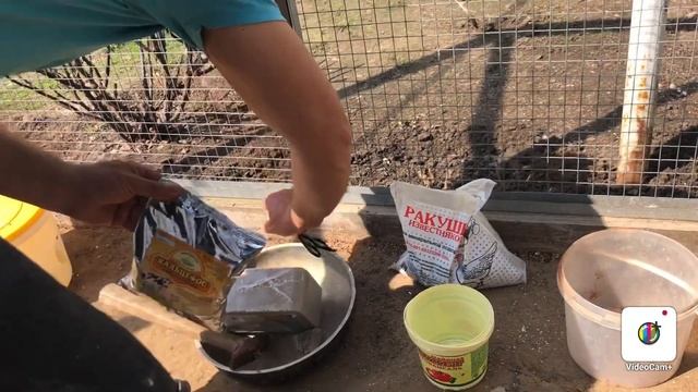 Кормление голубей минералами смотреть онлайн