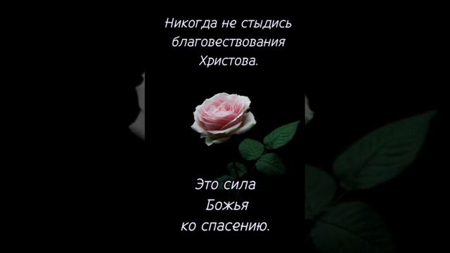Благославенного утра и дня с Богом! Христианское пожелание! смотреть онлайн