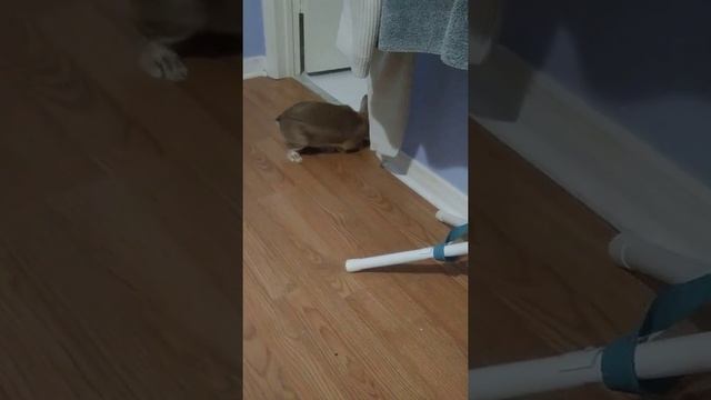 LOS MARCIANOS(2) смотреть онлайн