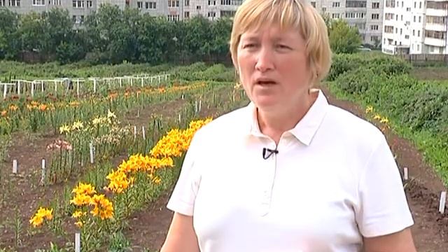 Зелёный участок Азиатские лилии от 21 07 2014 смотреть онлайн