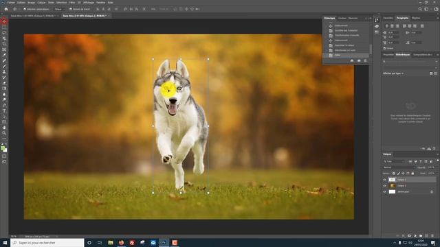 Détourage d'un sujet dans Photoshop 2020 en 1 clic смотреть онлайн