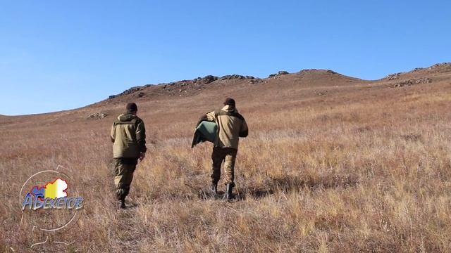 Кот Манул забрёл в жилище к людям смотреть онлайн