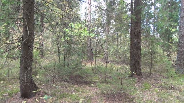 Поисковый сборник Часть 4 смотреть онлайн