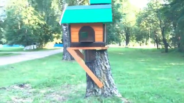 Беличий домик в усадьбе Борисово смотреть онлайн