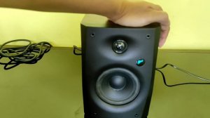 Review Suara HiVi Swans D1100