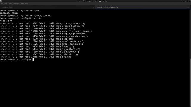 Oracle DB Backup in NetWorker(NMDA) - Creating client instance manually смотреть онлайн