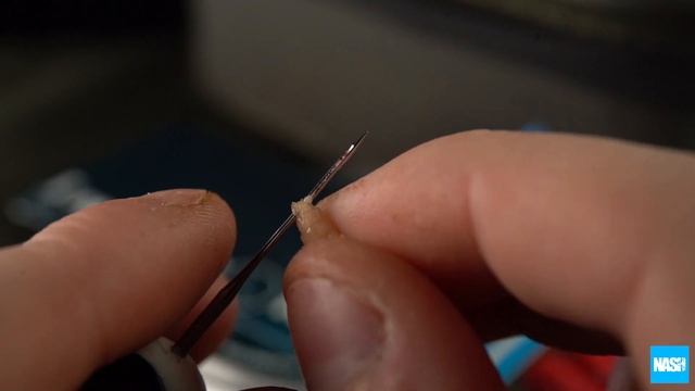 Nash Tackle Maggot Needle UK (T8815) смотреть онлайн