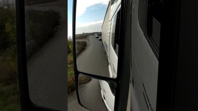 Вывел на прогулку смотреть онлайн