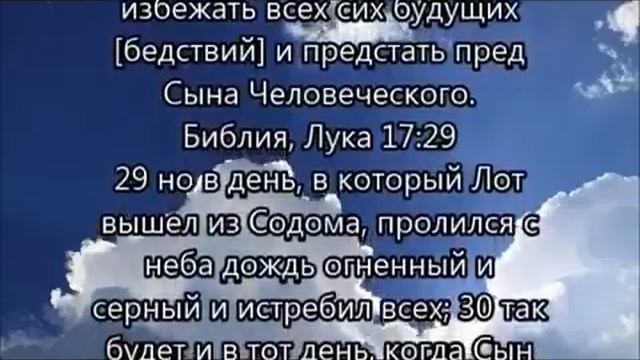 Тайное восхищение невесты(копия) смотреть онлайн