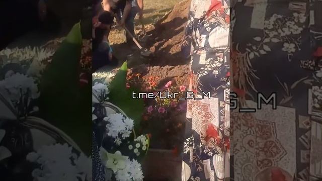 Такая картина сейчас по всей Украине. смотреть онлайн