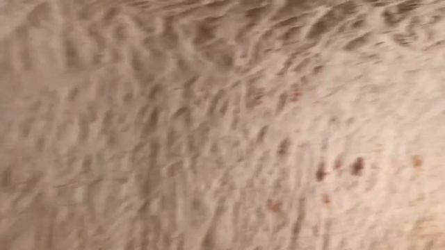 Дахаб, Южная Сина, Египет 🇪🇬 смотреть онлайн