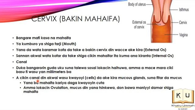 Lafiyarki Jarinki 01 (Part 1) смотреть онлайн