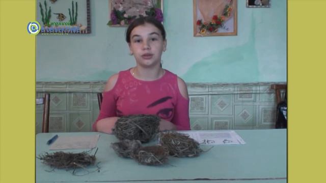 Ролики "Моё свободное время" (Юлия Орищенко).2009 смотреть онлайн
