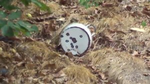 Air rifle Baikal MP 512 M 5.5 mm 25 meters - Въздушна пушка Байкал МП 512 М 5.5 мм 25метра