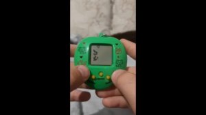 КАК ПОМЕНЯТЬ ПИТОМЦА В ТАМАГОЧИ!!!И БЫСТРО НАКОПИТЬ МНОГО ДЕНЕГ