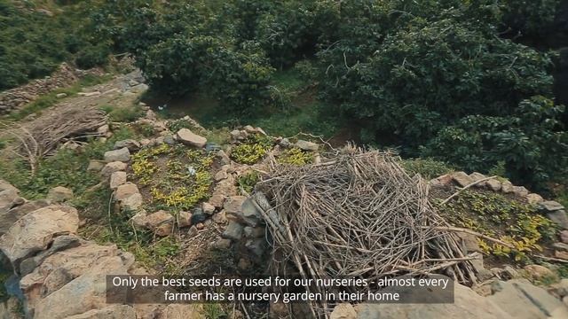 Introducing Coffee From Haraaz, Yemen